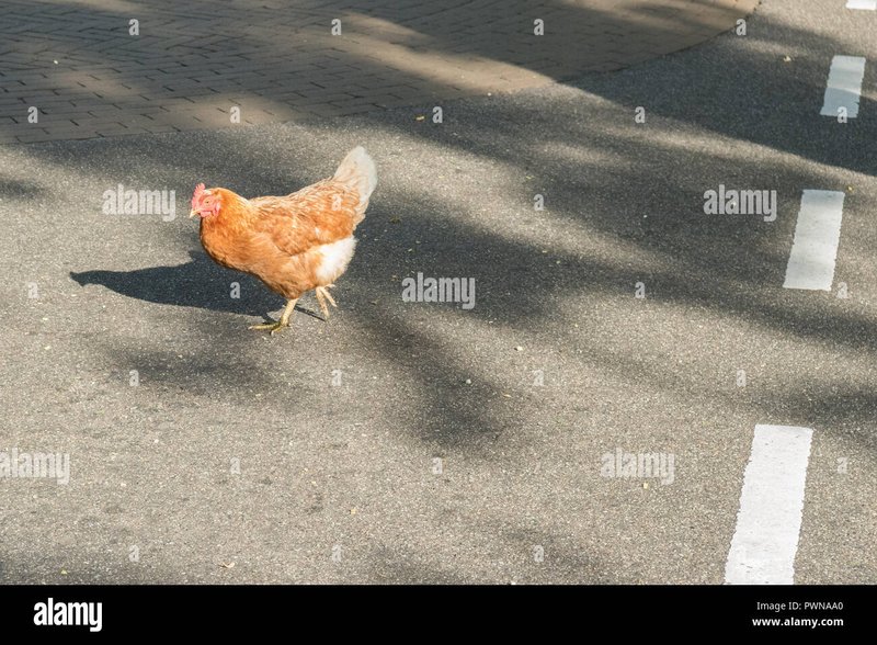 Chicken road casino - Spiel auf Chicken Road: Das neueste Casino-Spiel für deutsche Spieler